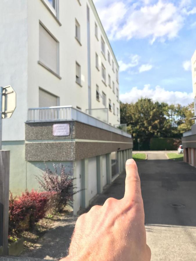 Studio T A 5Mn Euro Airport Avec Terrasse Saint-Louis  Exterior photo